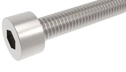 Inbusb. m6 x20 RVS (96-4-D)