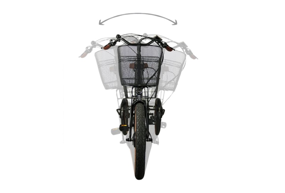 Van Rixtel Swing Compact Fold - zwart/bruin - elektrische driewieler