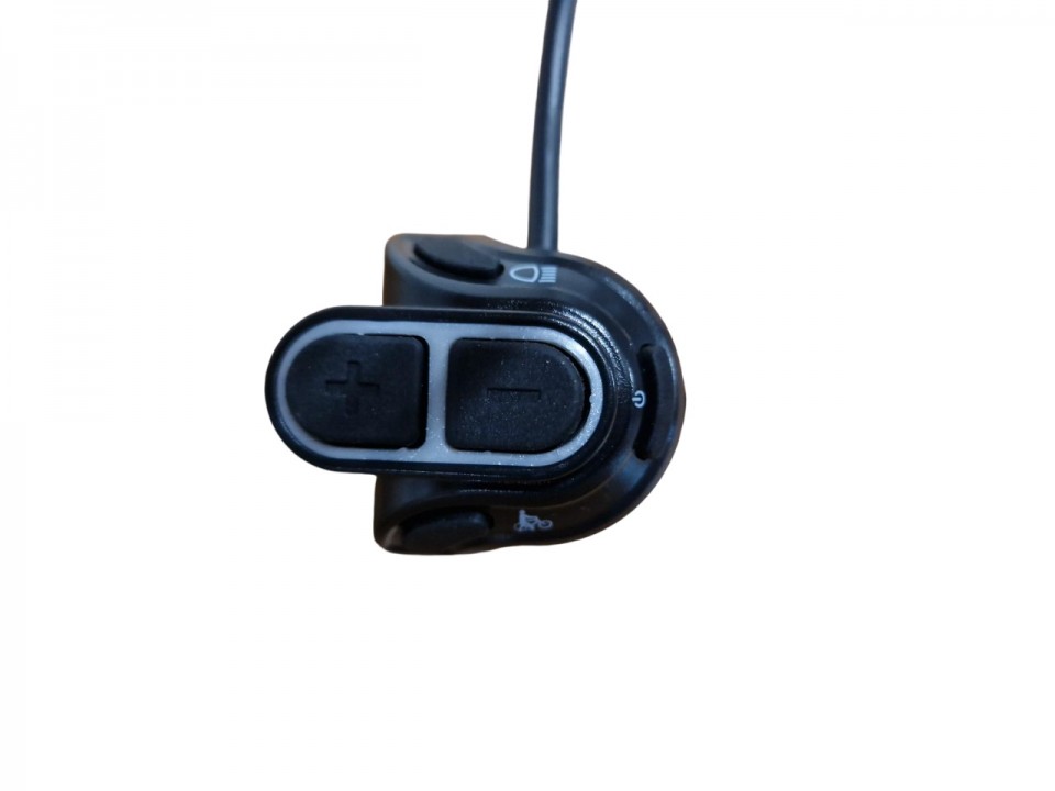 (223A1a) Display Ananda D16-Canbus