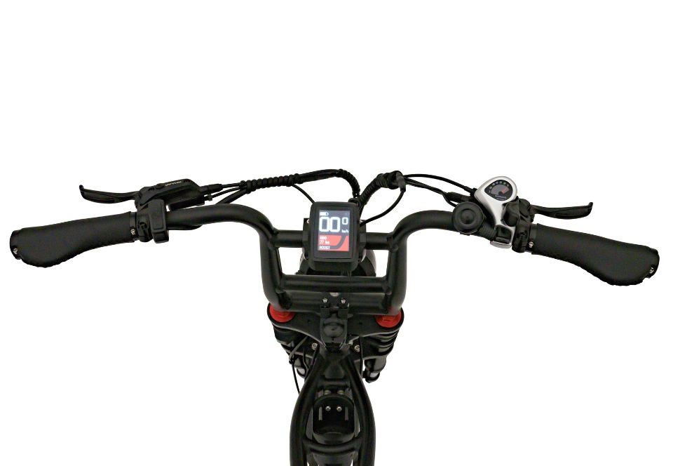 Knaap Bike RTD X - black - elektrische fatbike