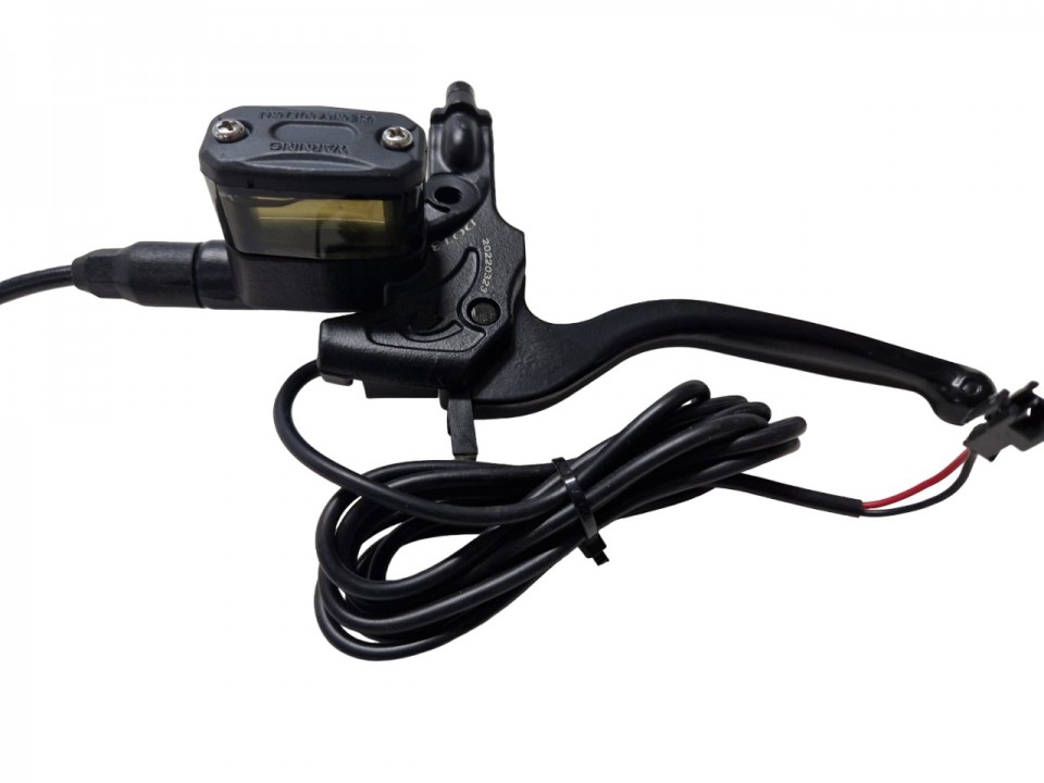 (224B3a) Achterremsysteem links