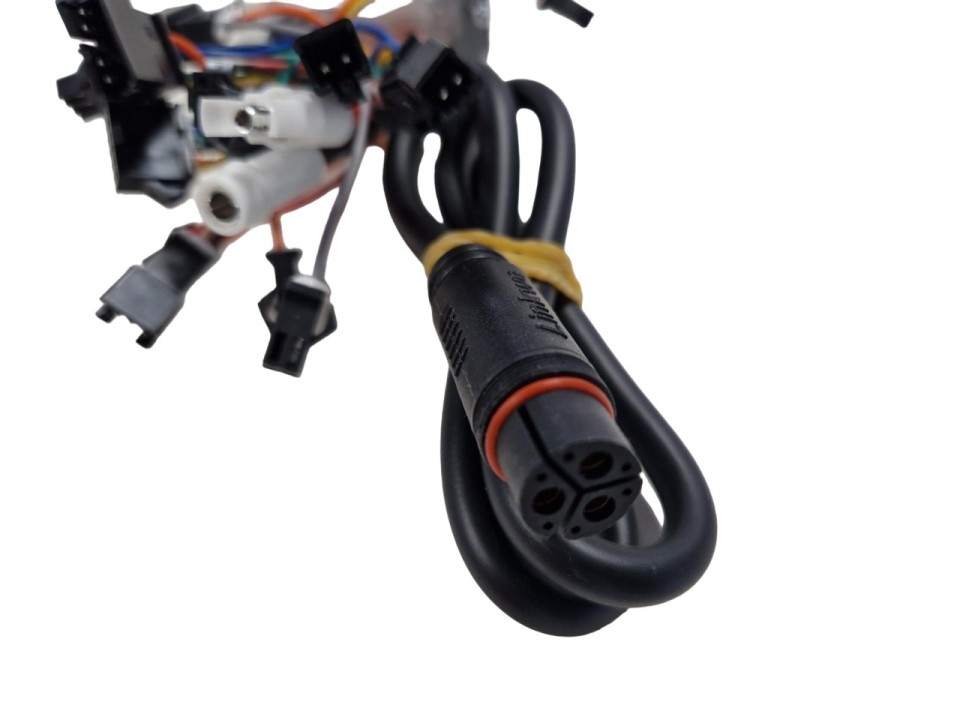 (224B2b) Controller Coswheel Fatbike CT20