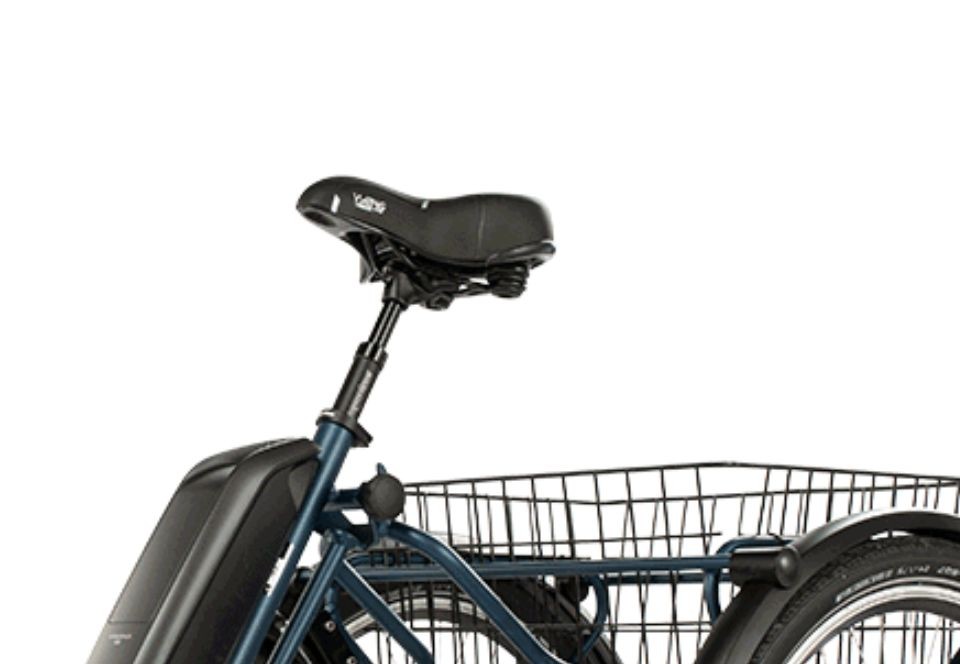 Pfautec Roma - blauw - elektrische driewieler