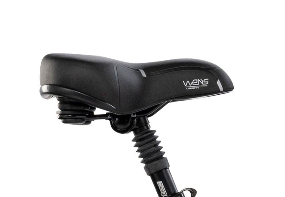 Pfautec S3 - grijs - elektrische damesfiets