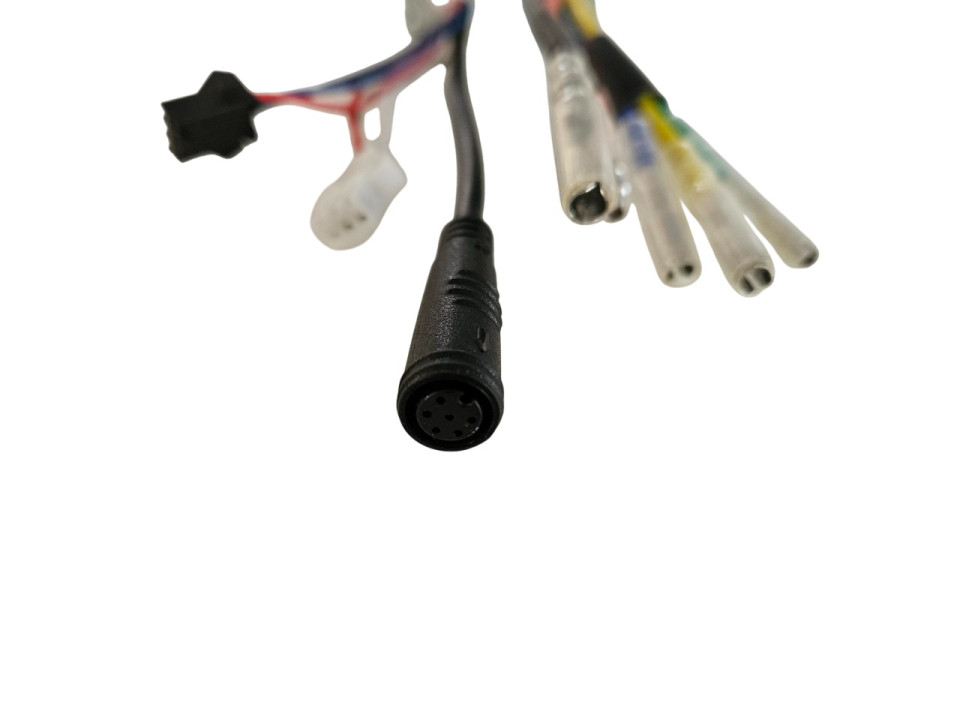 Controller Bizo bike (57-3-A) 