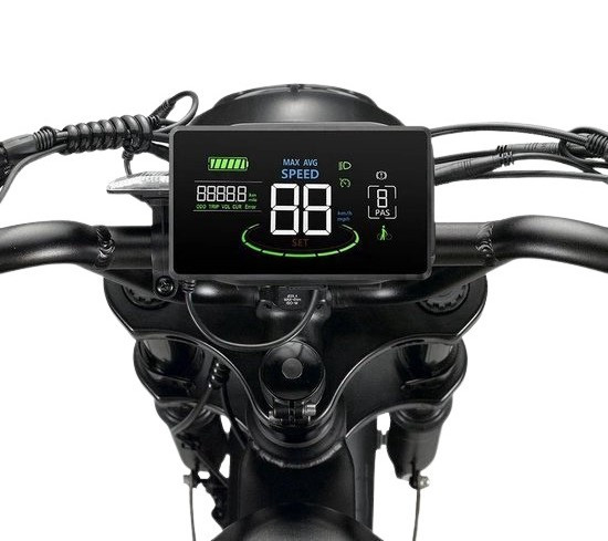 (199A4a) Display V20 Pro fatbike H6C