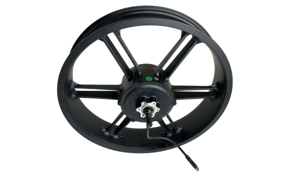 V20 pro fatbike motor met velg 250 Watt