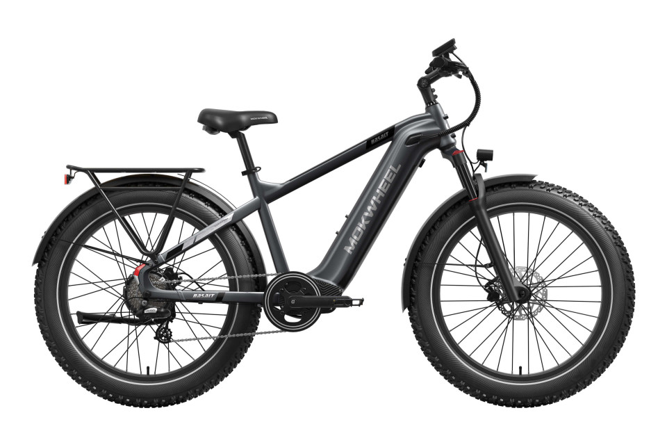 Basalt  Asgrijs | Elektrische Heren Mountainbike | Fatbike