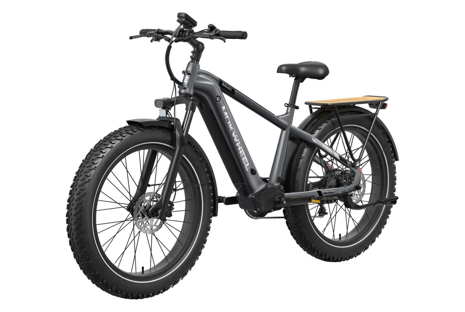 Basalt  Asgrijs | Elektrische Heren Mountainbike | Fatbike