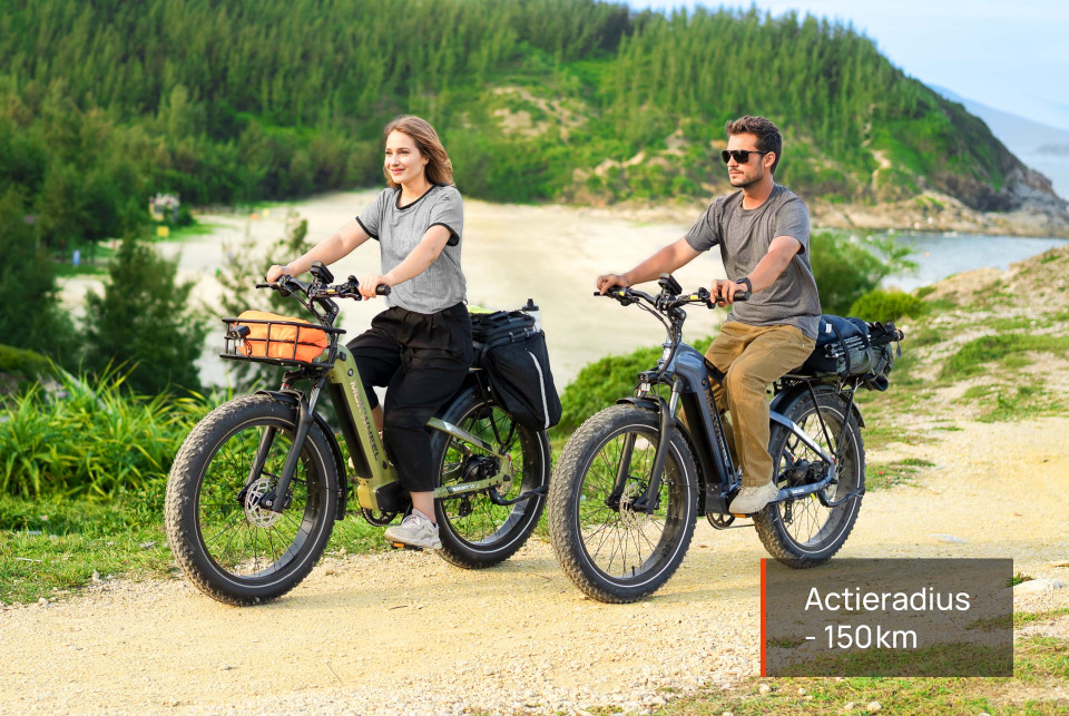 Basalt  Asgrijs | Elektrische Heren Mountainbike | Fatbike