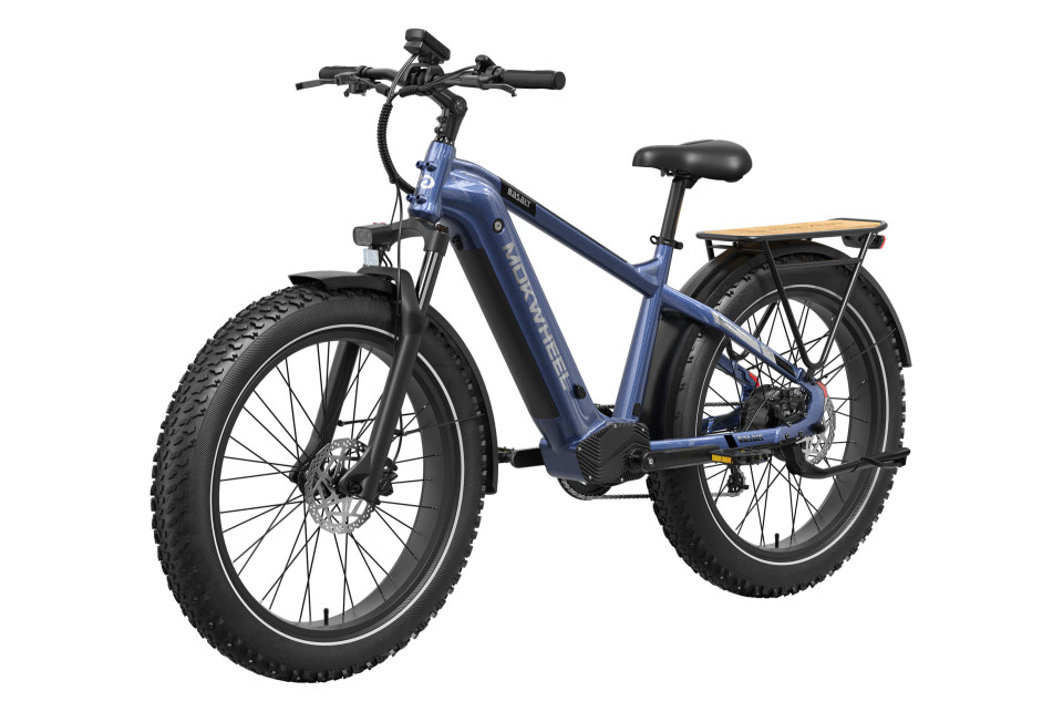 Basalt  Blauw | Elektrische Heren Mountainbike | Fatbike
