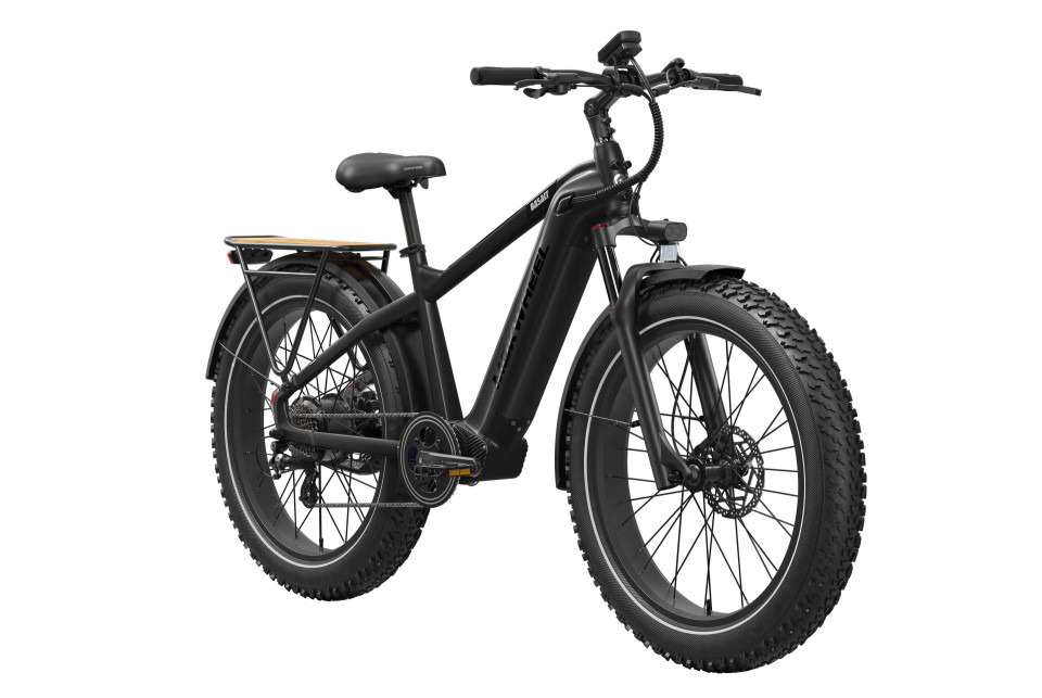 Basalt  Zwart | Elektrische Heren Mountainbike | Fatbike