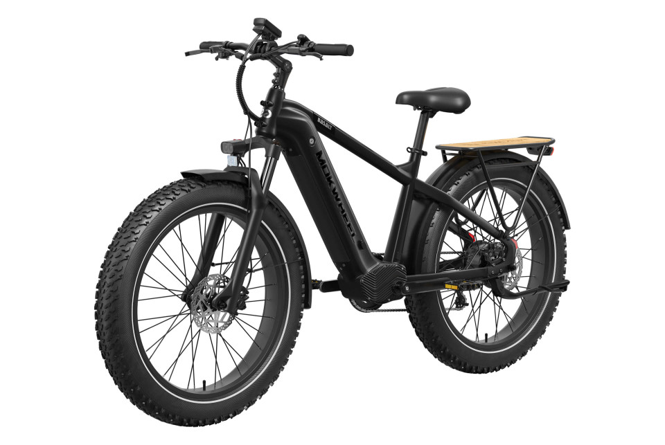 Basalt  Zwart | Elektrische Heren Mountainbike | Fatbike