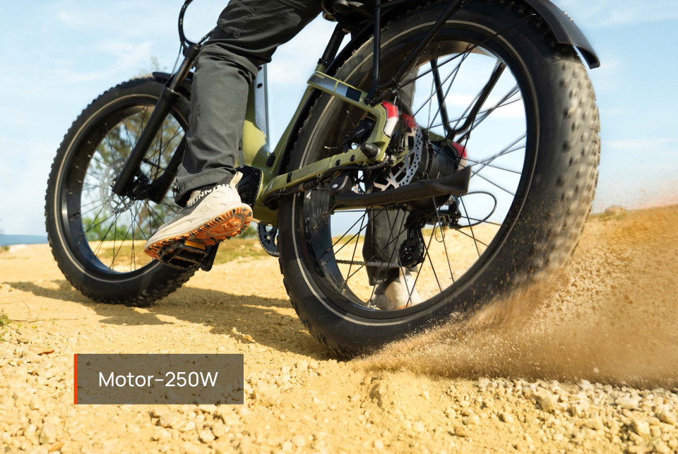 Basalt  Zwart | Elektrische Heren Mountainbike | Fatbike