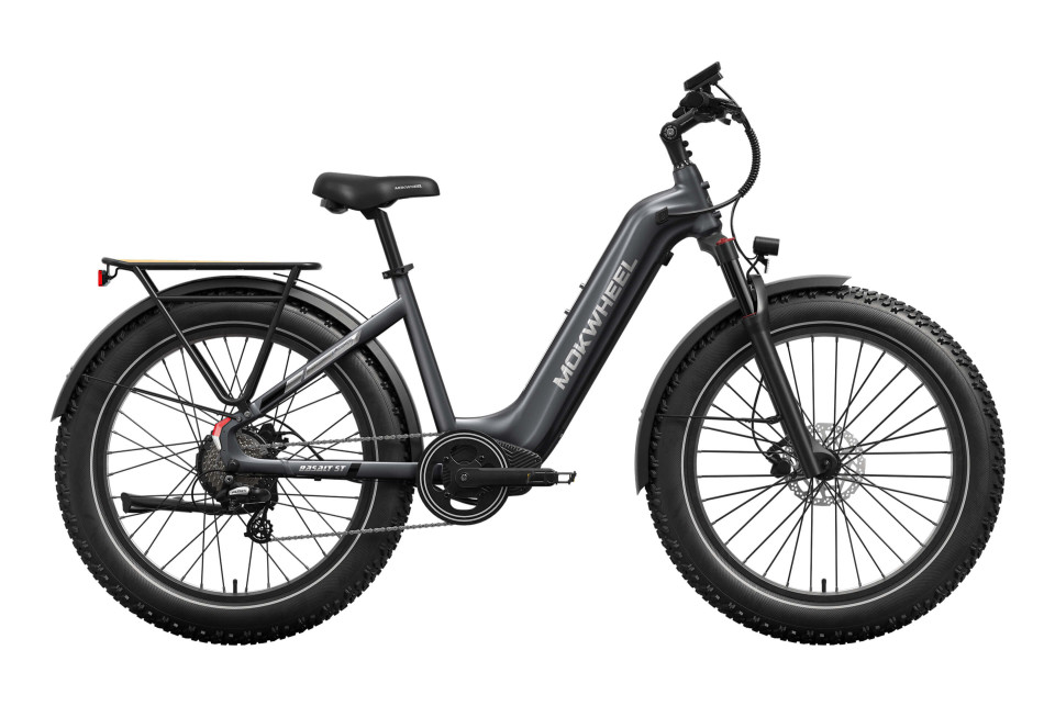 Mokwheel Basalt ST 2.0 - Slate Gray | Elektrische Mountainbike | Fatbike