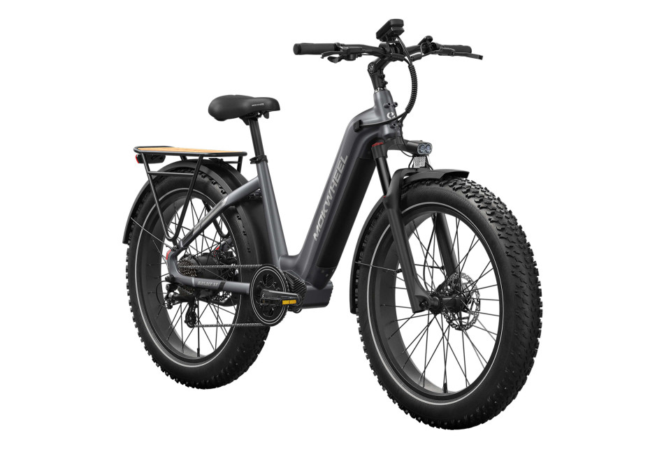 Mokwheel Basalt ST 2.0 - Slate Gray | Elektrische Mountainbike | Fatbike
