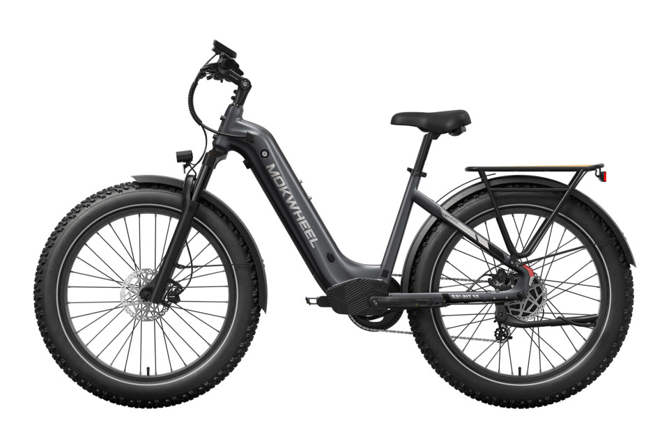 Mokwheel Basalt ST 2.0 - Slate Gray | Elektrische Mountainbike | Fatbike