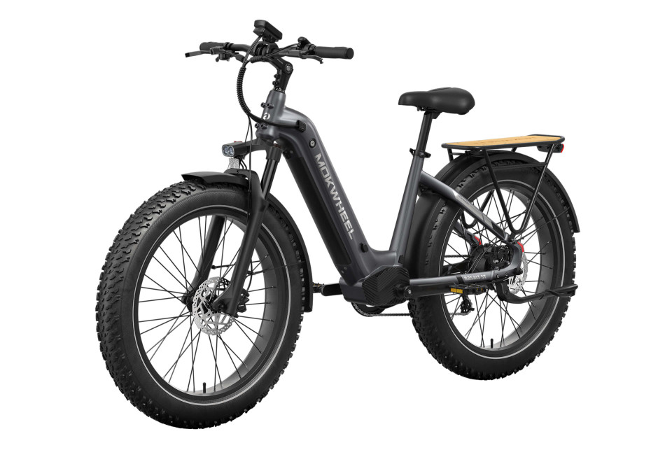 Mokwheel Basalt ST 2.0 - Slate Gray | Elektrische Mountainbike | Fatbike