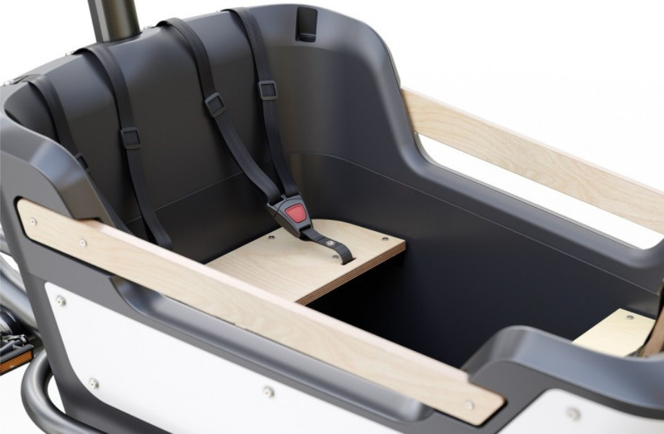 Royal Cargo Bike 2W Premium - elektrische tweewieler bakfiets - Groen