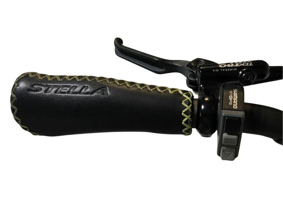 Stella arturo elektrische damesfiets 