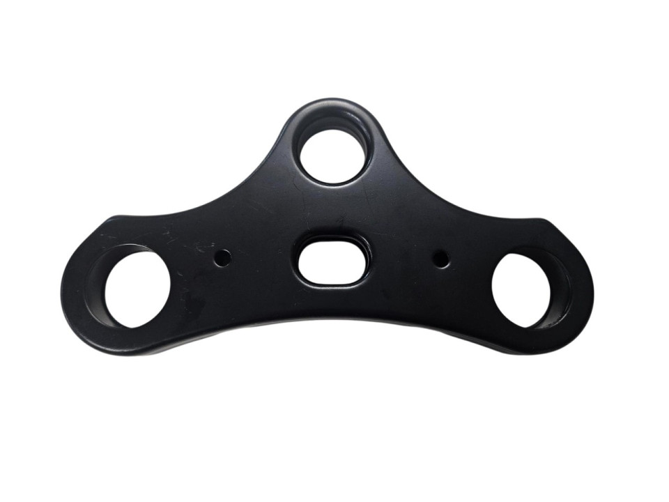 (199C4b) V20 pro Fatbike kroonplaat