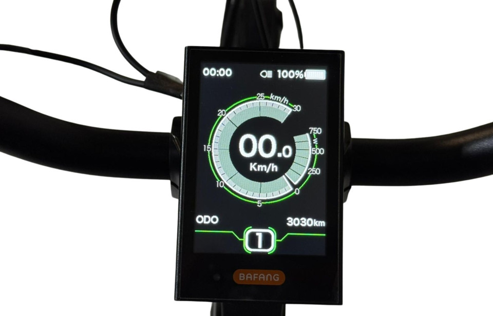 Vogue Mestengo elektrische damesfiets