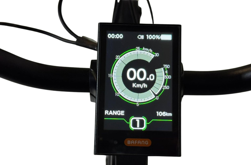 Vogue Mestengo elektrische damesfiets