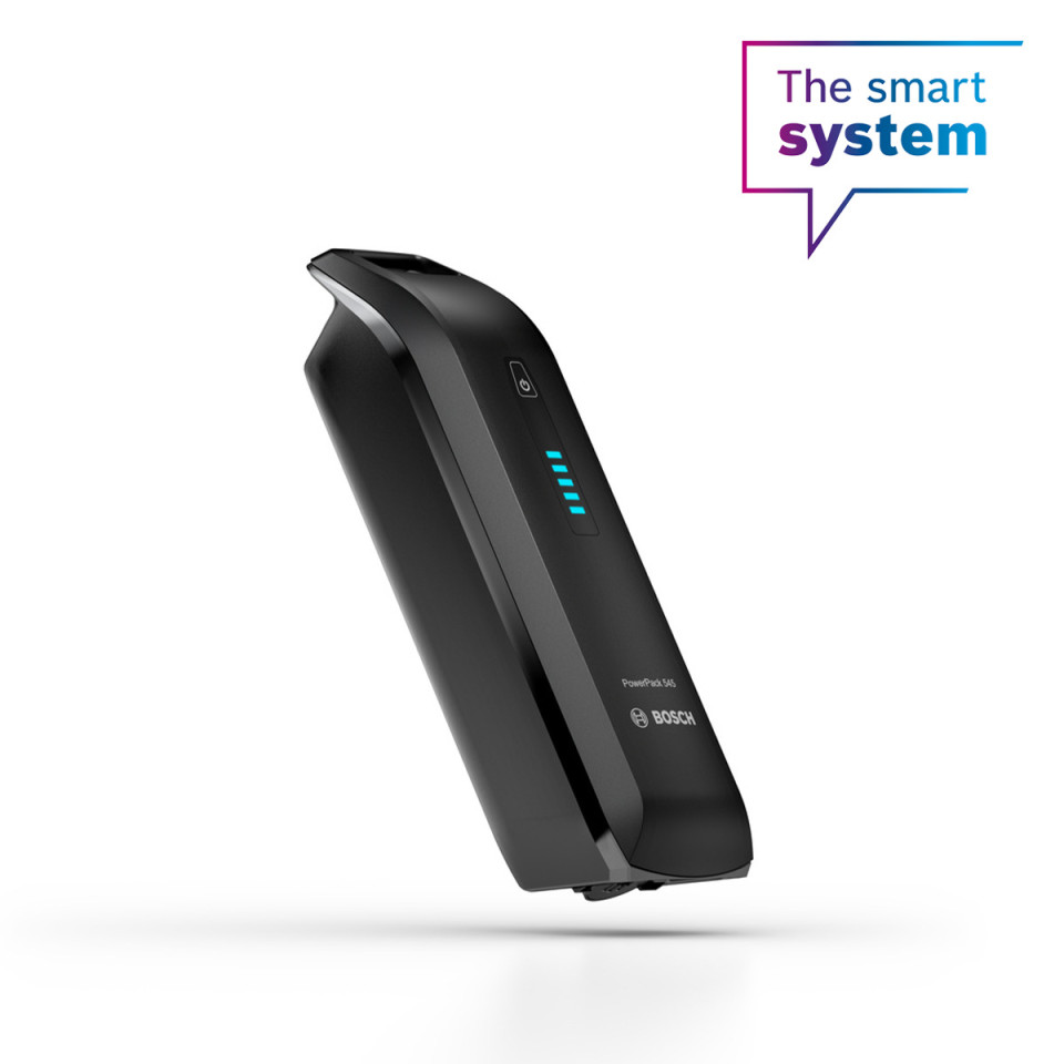 Bosch PowerPack 545 Frame EU BBP3551