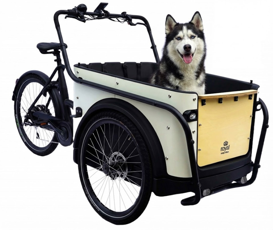 Royal Cargo Bike 3W Eco - wit - elektrische driewieler bakfiets