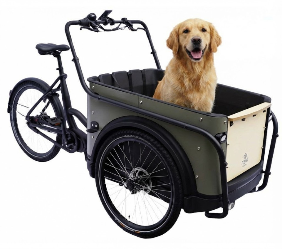 Royal Cargo Bike 3W Premium - taupe grijs - elektrische driewieler bakfiets