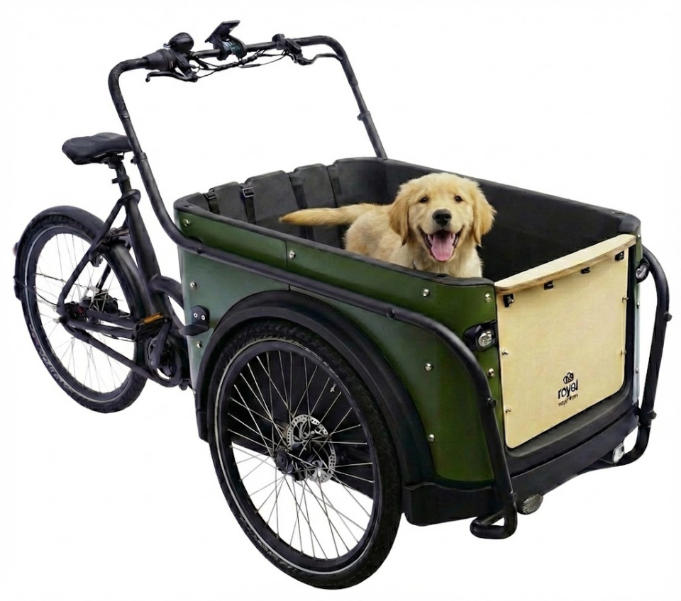 Royal Cargo Bike 3W Premium - groen - elektrische driewieler bakfiets
