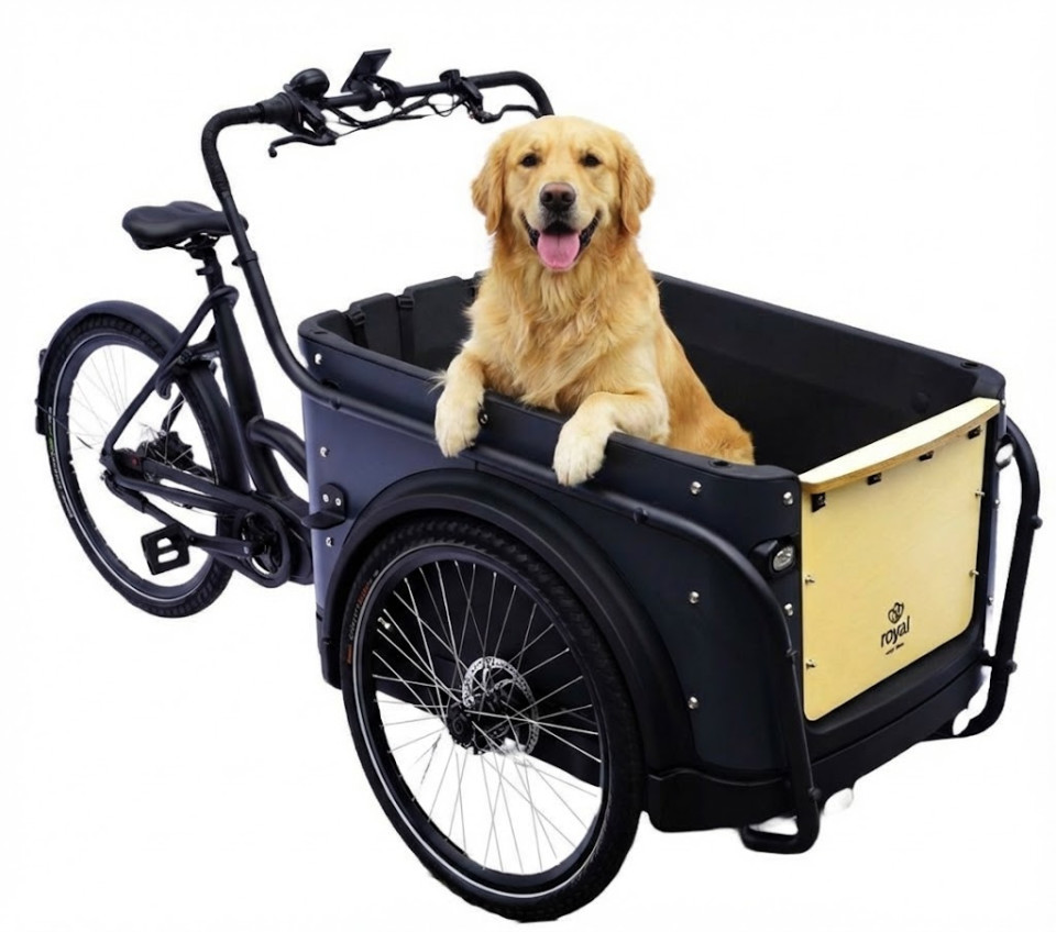 Royal Cargo Bike 3W Premium Plus - antraciet - elektrische bakfiets