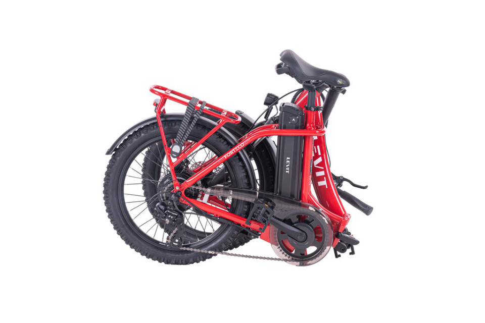 Levit Forteco 1 2026 - ladybug - elektrische vouwfiets