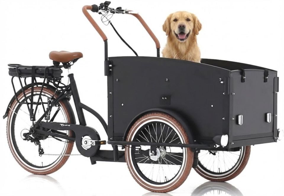 Vogue Troy - elektrische driewieler bakfiets - mat zwart/zwart