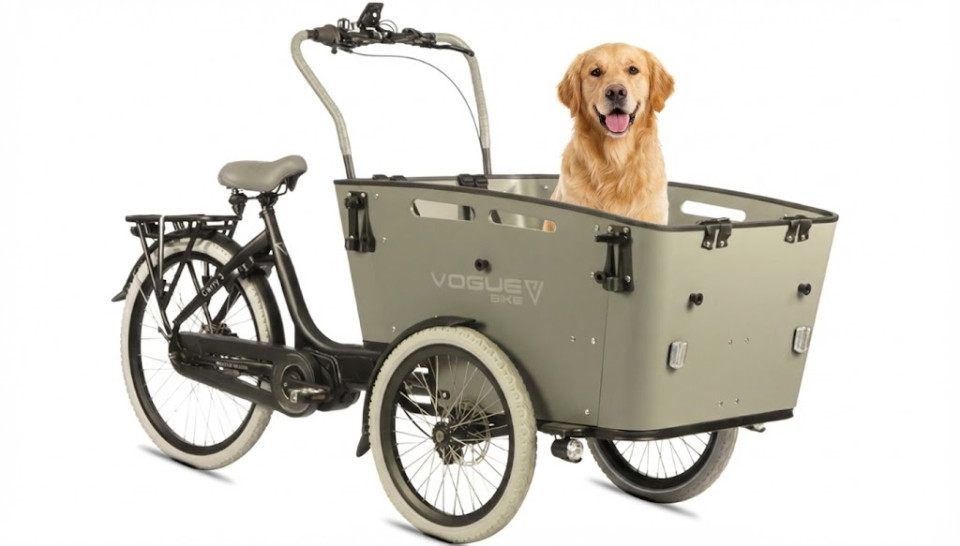 Vogue Carry 3 - Ananda M81 - 540Wh - elektrische bakfiets - zwart/grijs