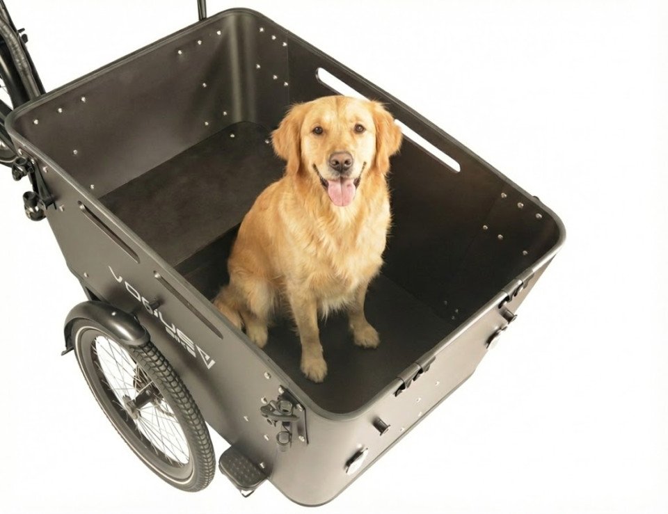 Vogue Carry 3 - Ananda M81 - 540Wh - elektrische bakfiets - zwart/zwart