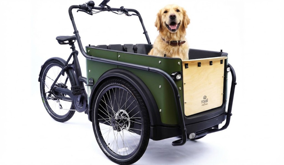 Lease - Royal Cargo Bike 3W Premium Plus - elektrische driewieler bakfiets