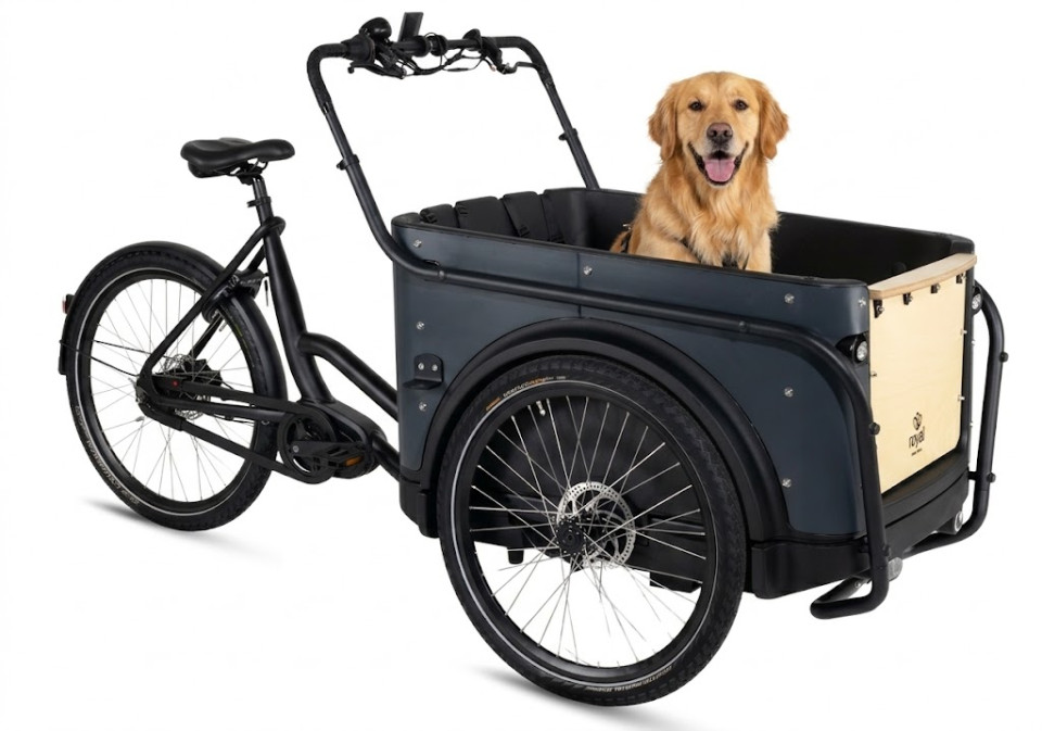 Royal Cargo Bike 3W Premium - antraciet - elektrische driewieler bakfiets