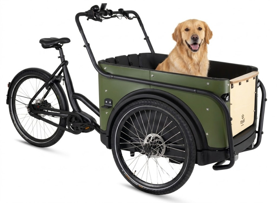 Royal Cargo Bike 3W Premium - groen - elektrische driewieler bakfiets