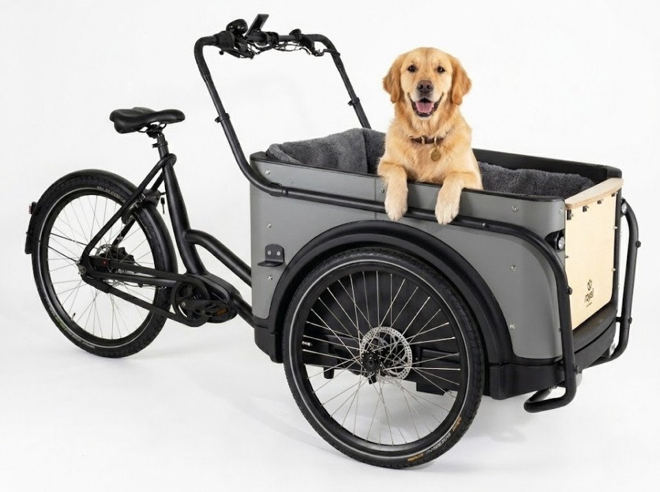 Royal Cargo Bike 3W Premium - taupe grijs - elektrische driewieler bakfiets