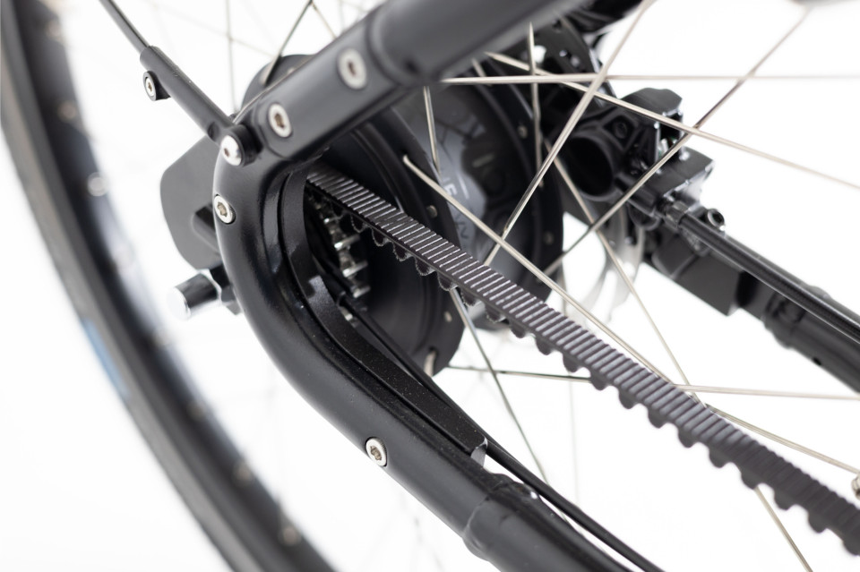 Royal Cargo Bike 2W Premium Plus - elektrische tweewieler bakfiets - Groen