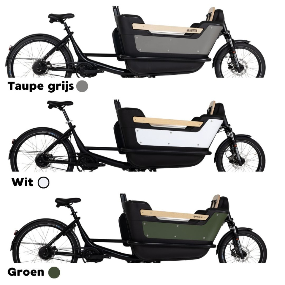 Royal Cargo Bike 2W Premium - elektrische tweewieler bakfiets - Groen