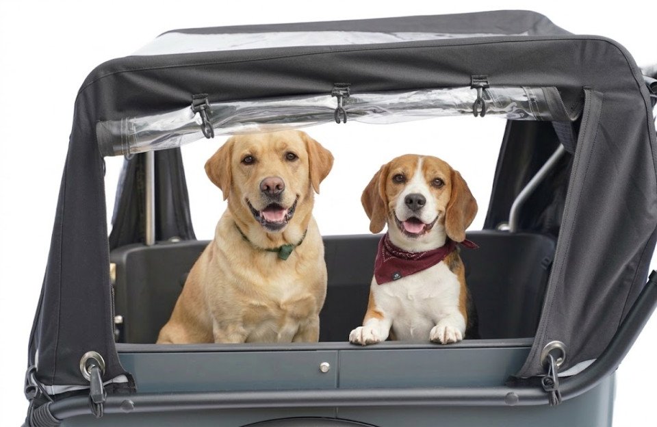 Royal Cargo Bike 3W Eco - wit - elektrische driewieler bakfiets