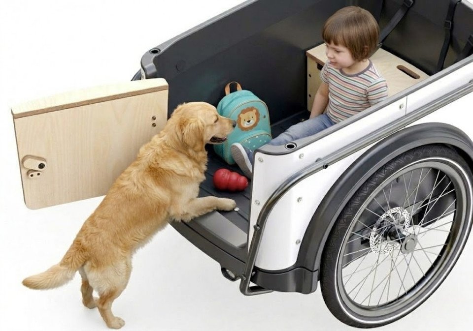 Royal Cargo Bike 3W Eco - wit - elektrische driewieler bakfiets