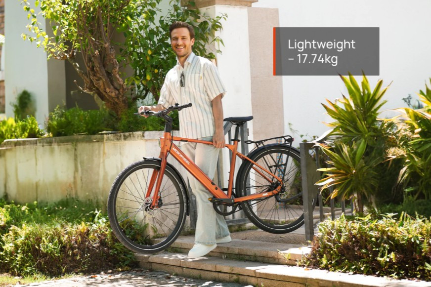 Mokwheel Flint ST Pro - pink - elektrische damesfiets