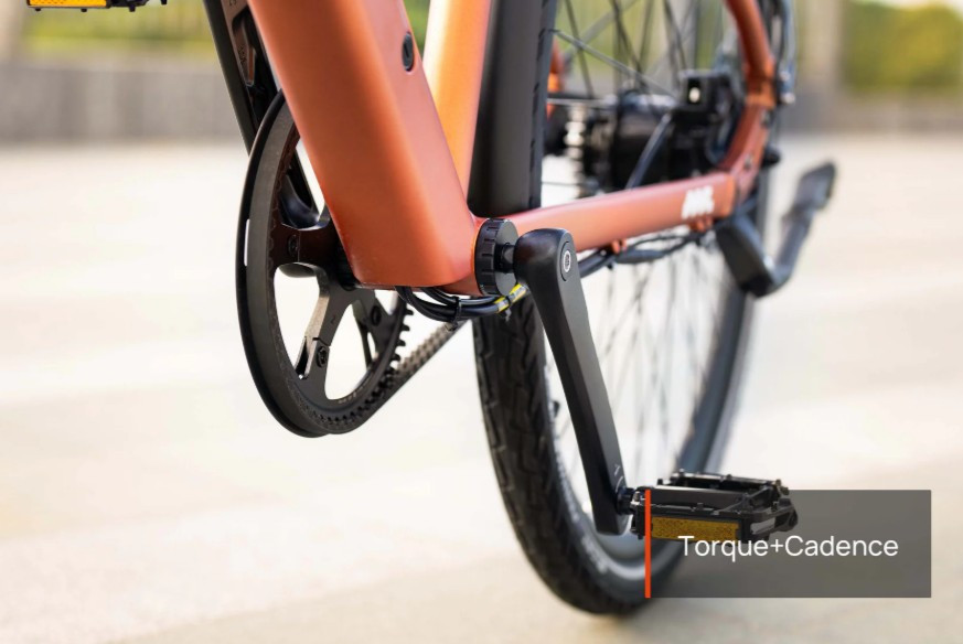 Mokwheel Flint Pro - black - elektrische herenfiets