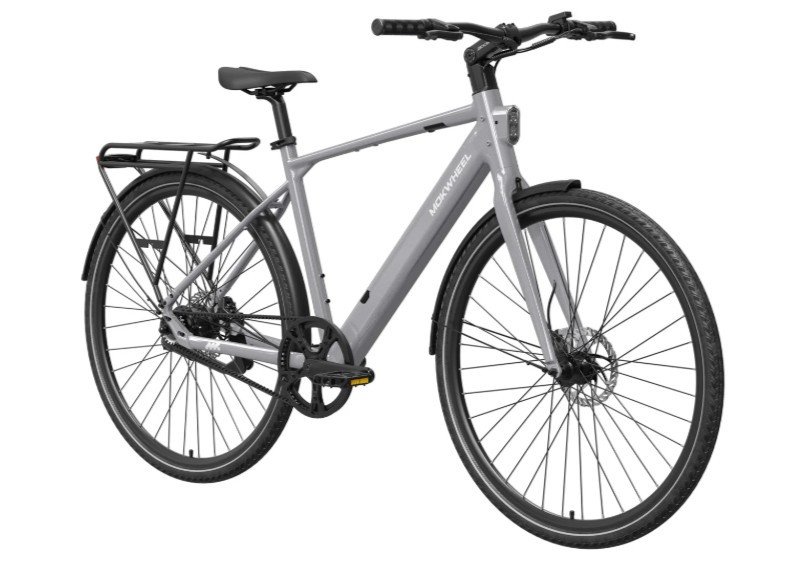 Mokwheel Flint Pro - gray - elektrische herenfiets