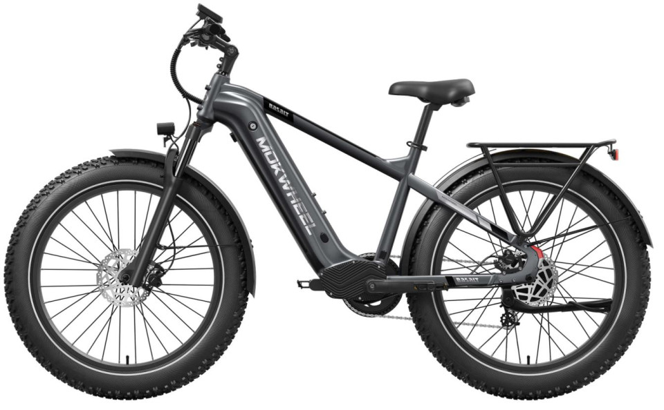 Mokwheel Basalt 2.0 - Ash Gray | Elektrische Mountainbike | Fatbike