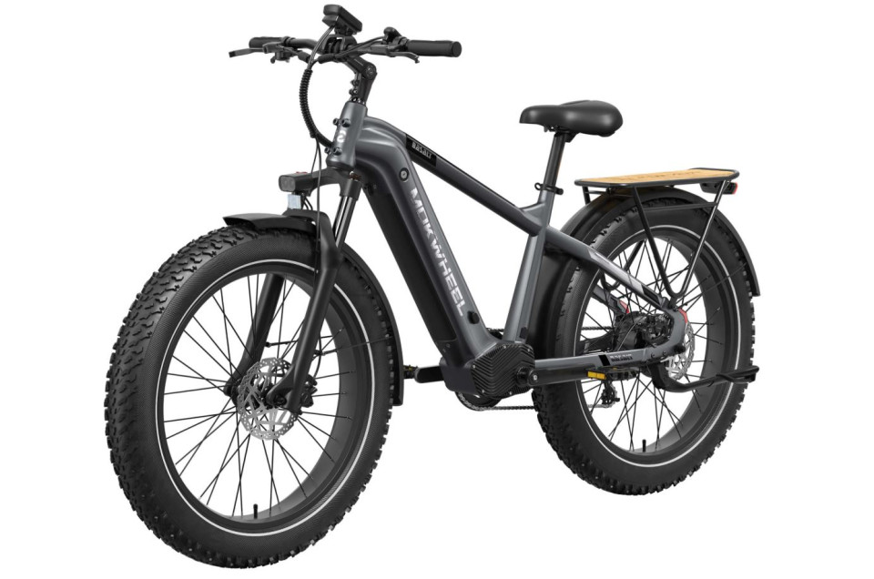 Mokwheel Basalt 2.0 - Ash Gray | Elektrische Mountainbike | Fatbike