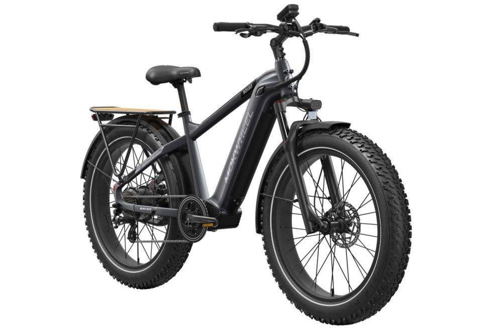 Mokwheel Basalt 2.0 - Ash Gray | Elektrische Mountainbike | Fatbike